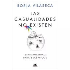 VERGARA - Las Casualidades No Existen / Borja Vilaseca