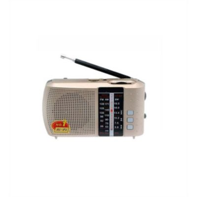 Radio FM AM Altavoz Digital Portatil USB Haoning HN-362 GENERICO