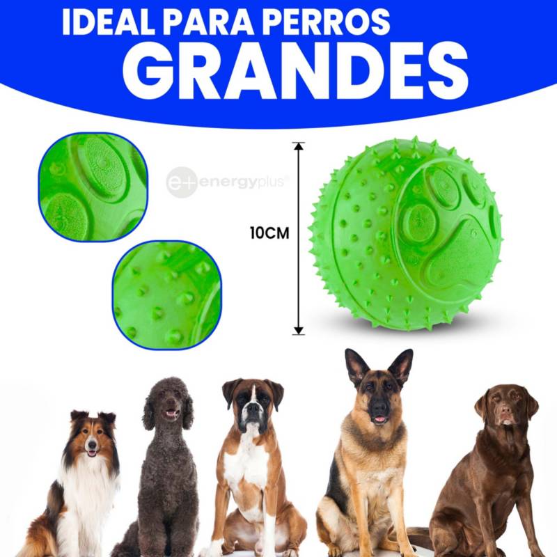 4 Pelotas para Perros Grandes: Juguete Limpia Sarro, Fuerte