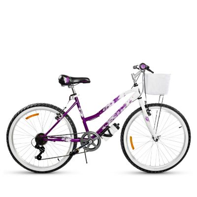 Bicicleta Amethyst Lady BM 2416 Aro 24