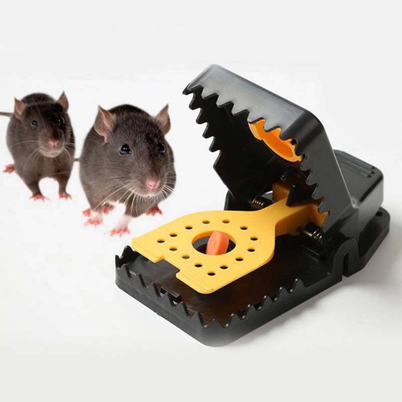Trampa para ratas con pedal de 5 piezas, trampa para ratones, trampas para  roedores, trampas para ratas mortales y sin humanidad, paquete de 5