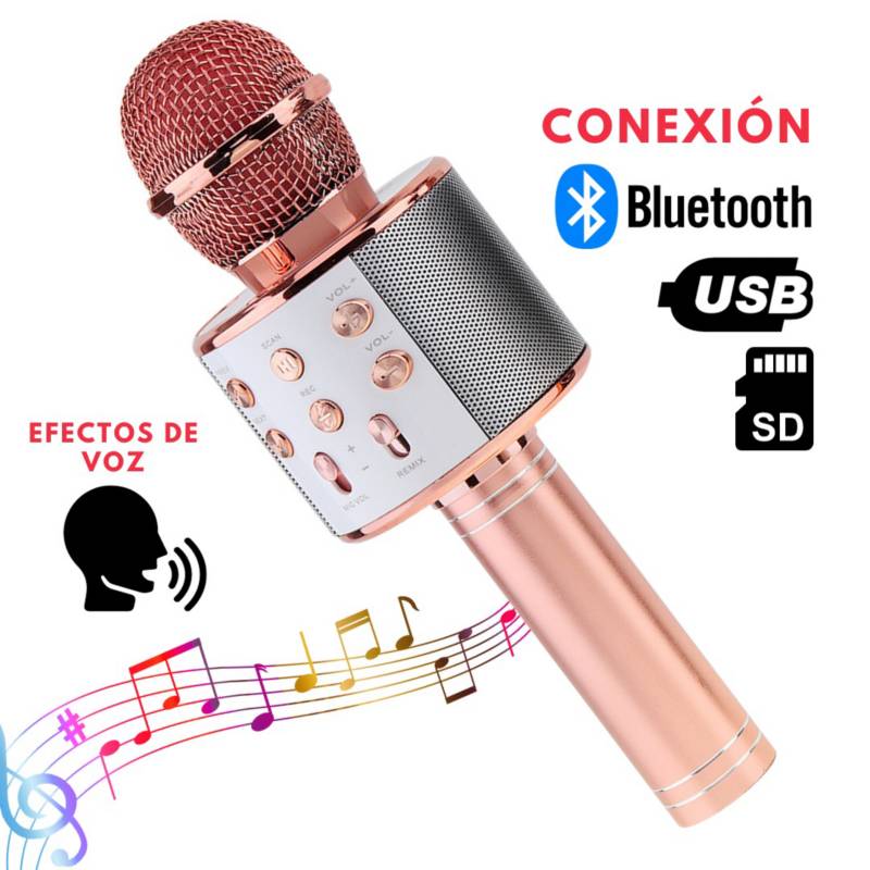 Altavoz Micrófono Inalámbrico Karaoke Bt Sd Usb WS-858