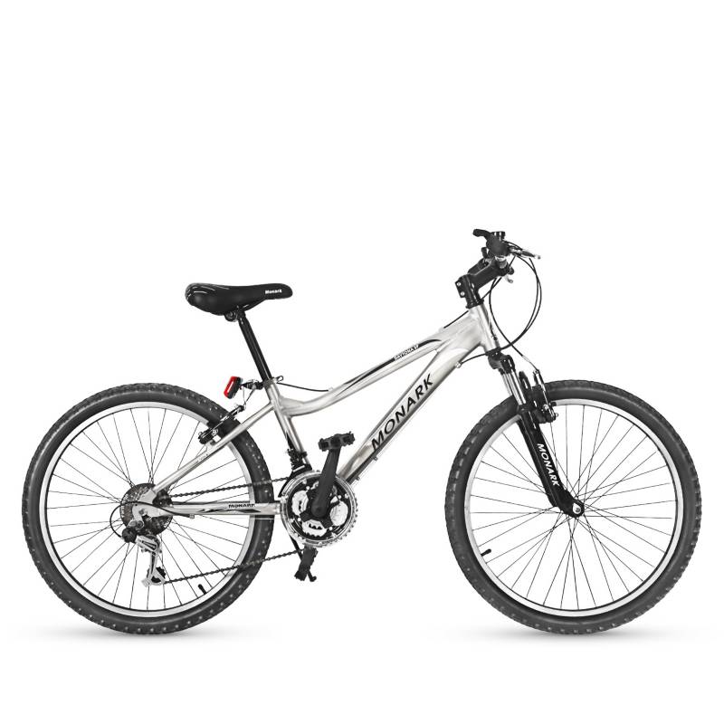 Bicicleta Daytona 13.0 MTB Aro 24