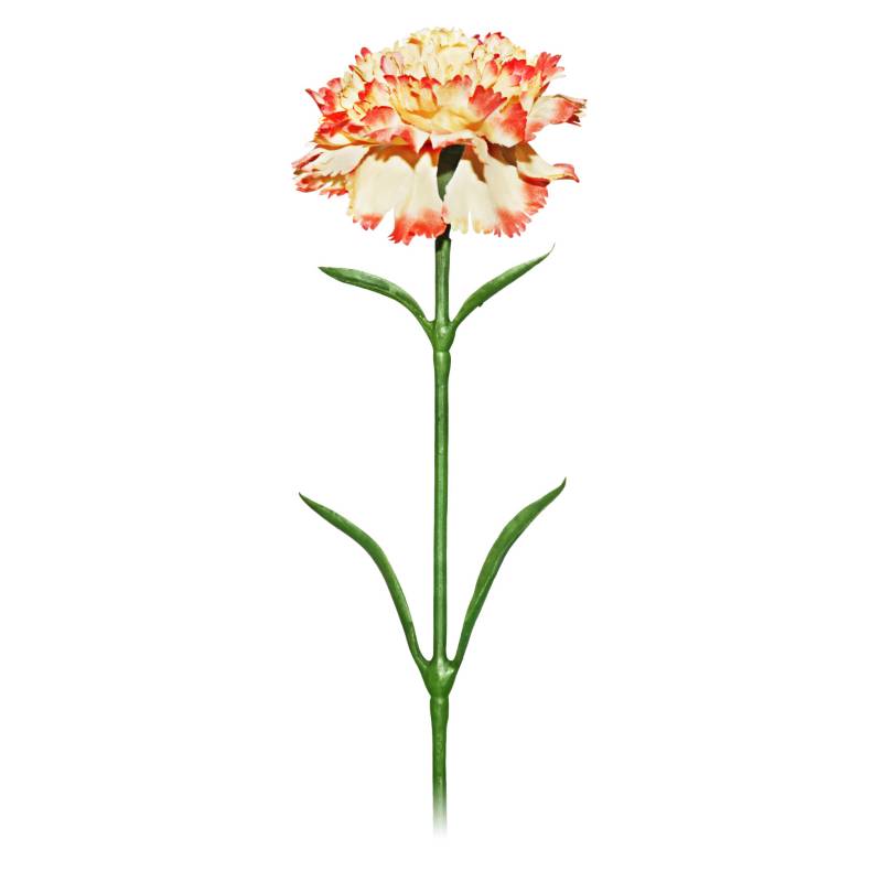 MICA - Flor Carnation Naranja