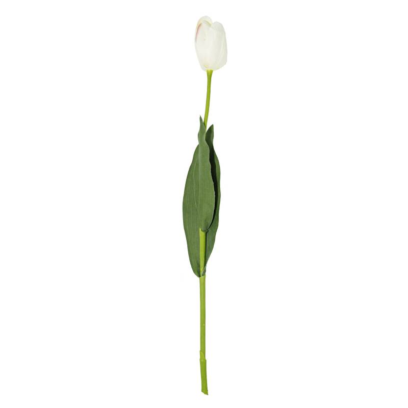 MICA - Flor Tulipán G de Blanca