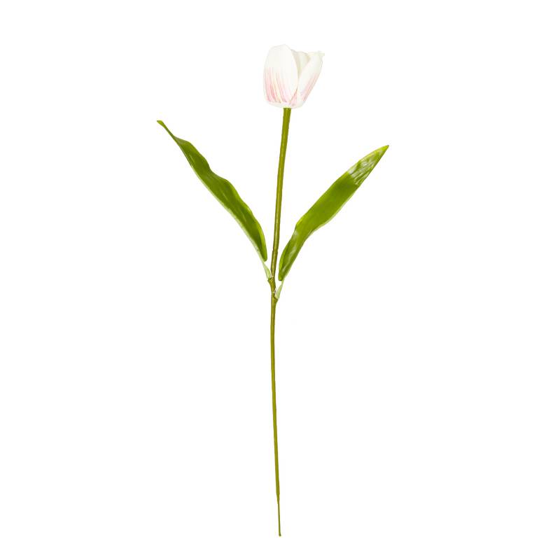 MICA - Flor Tulipán BLCA