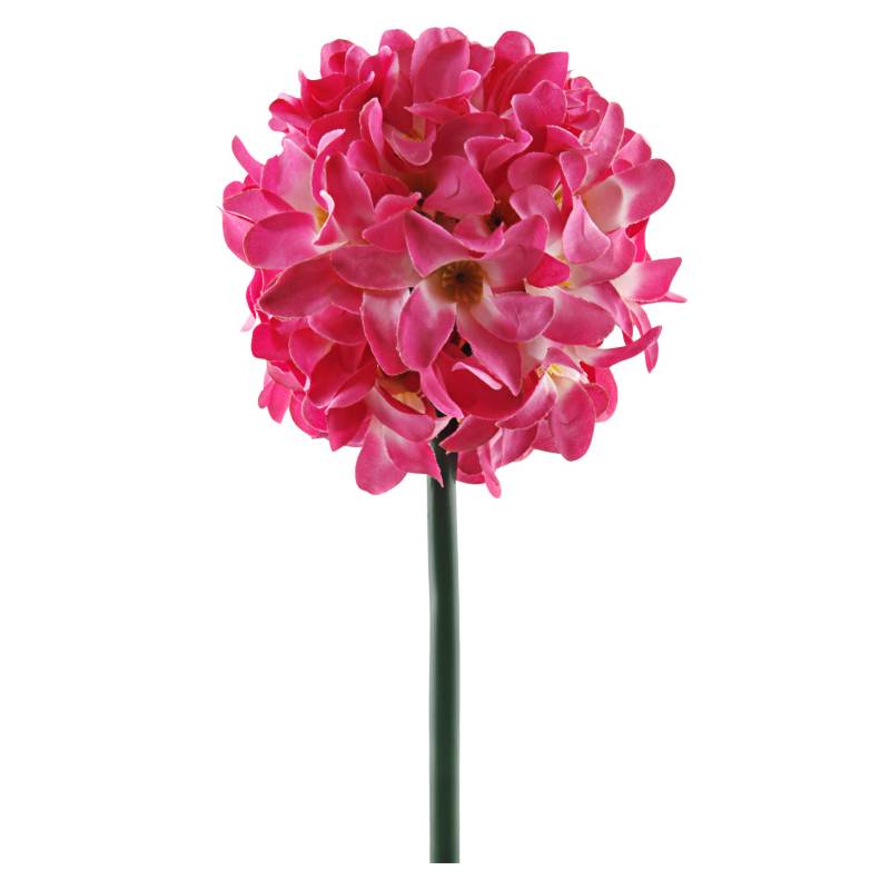 MICA - Flor Allium Med Rose