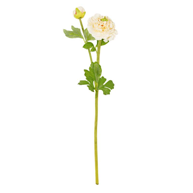 MICA - Flor Ranunculus Yvory