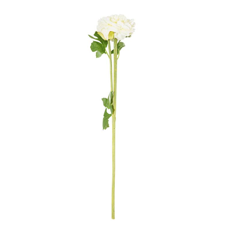 MICA - Flor Ranunculus Blanca