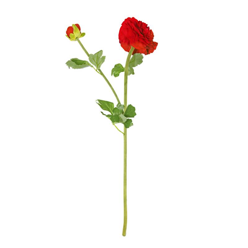 MICA - Flor Ranunculus Roja