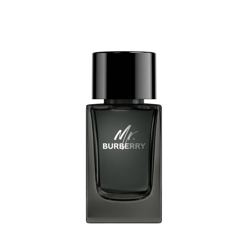 BURBERRY - Burberry Mr. Burberry Eau de Parfum 100 ml