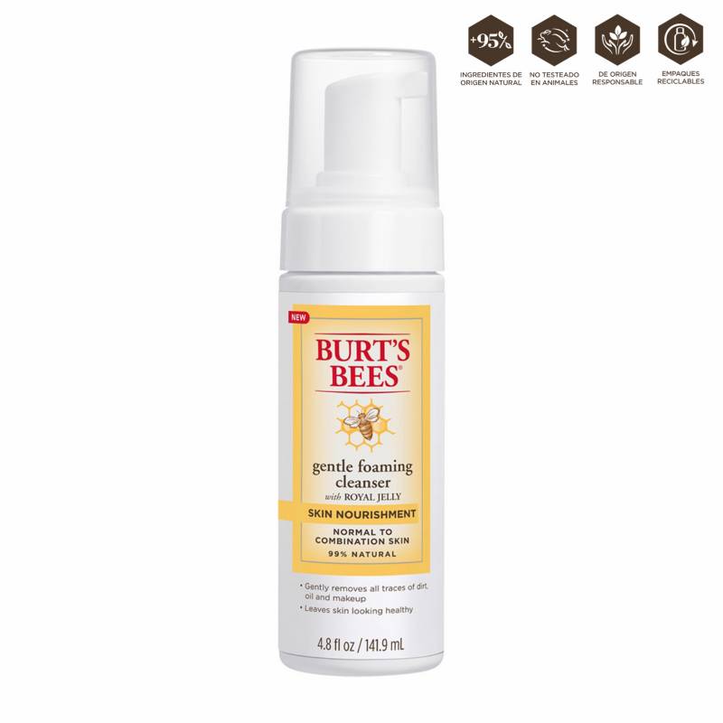 BURTS BEES - Skin Nourishment Gentle Foaming Cleanser 4.8 Fl Oz (141.6 Ml)