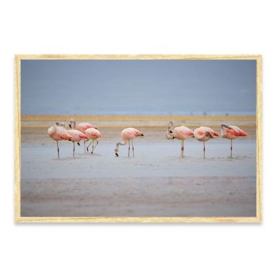 Cuadro Flamingos En Paracas 150