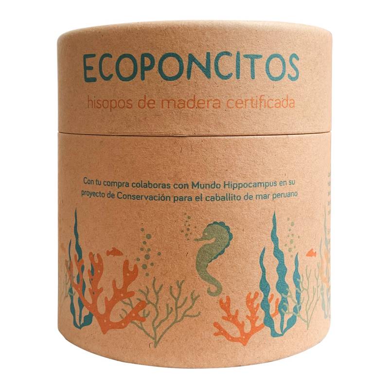 ECOPONCITOS - Hisopos de Madera Certificada y 100% Algodón x100 Unidades