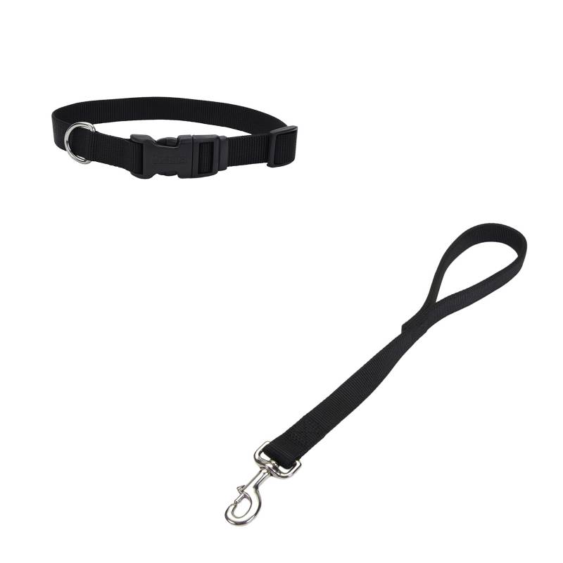 COASTAL® - Combo Collar + Traila Corta Nylon 60 cm. Negro L