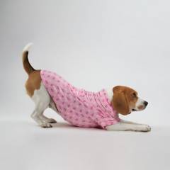 NADRA - Pijama Pet Happy Dream