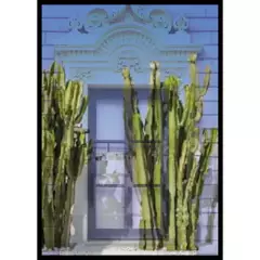 DI MOBILIA - Cuadro 3763 Cactus Window 50x70