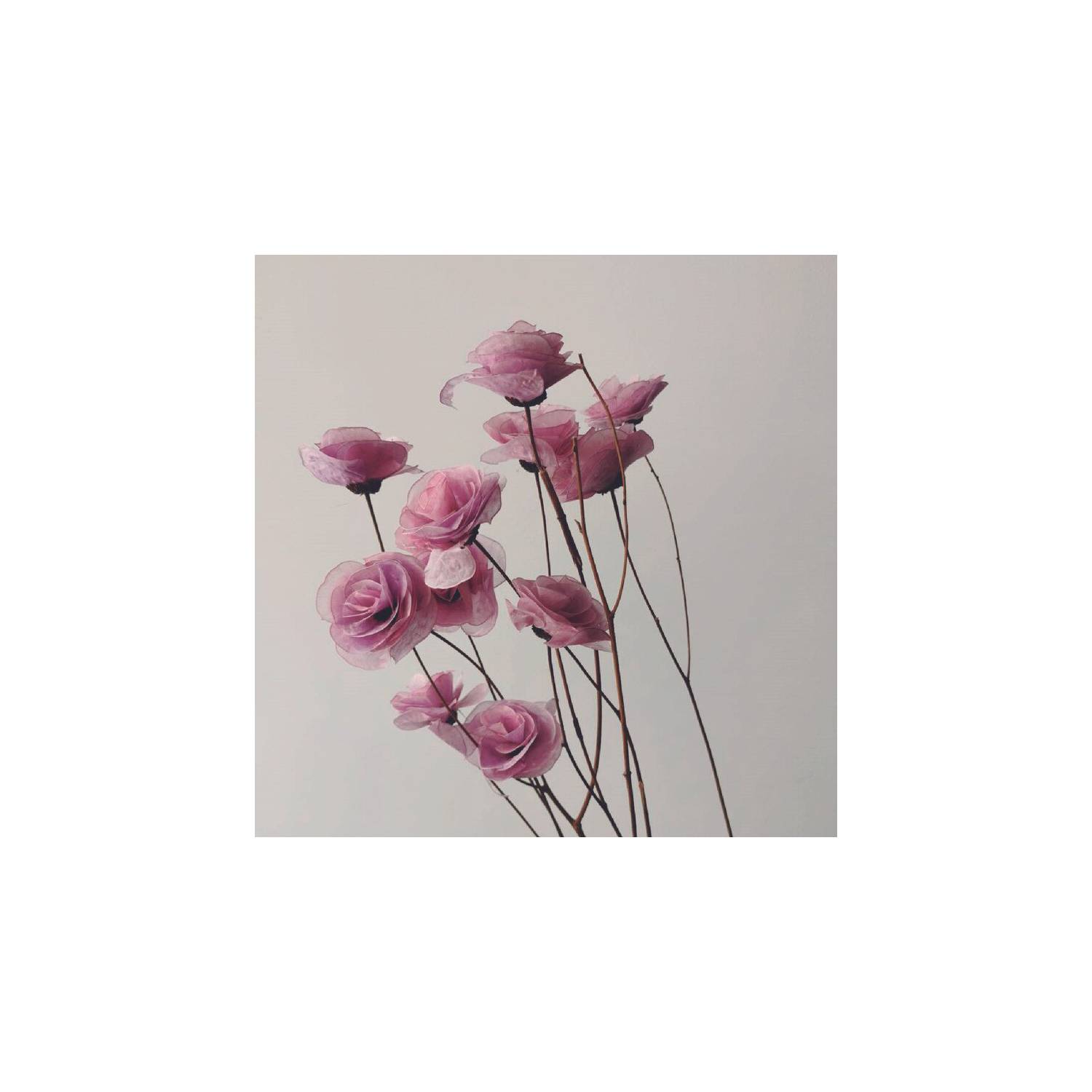 Ramo Rosas Violetas X 12 DECORA FLORES | falabella.com