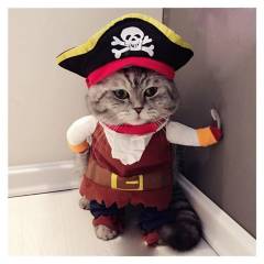 GENERICO - Disfraz Para Gato - Pirata