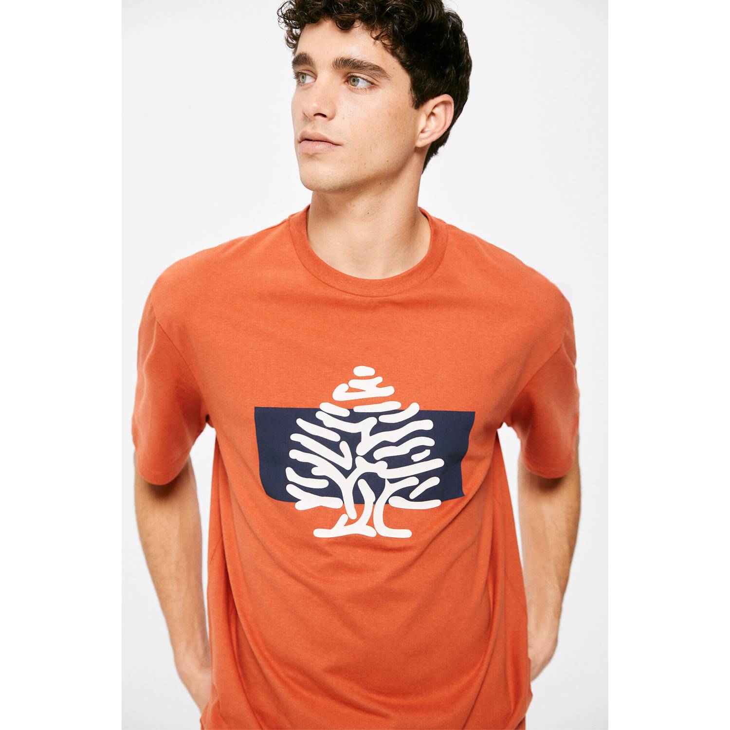 Springfield Camiseta, Camiseta Hombre, Naranja (Orange), M: : Moda