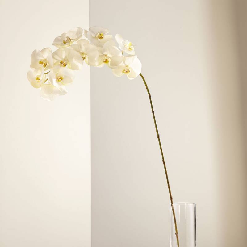 CRATE & BARREL - Rama de Orquídea Blanca