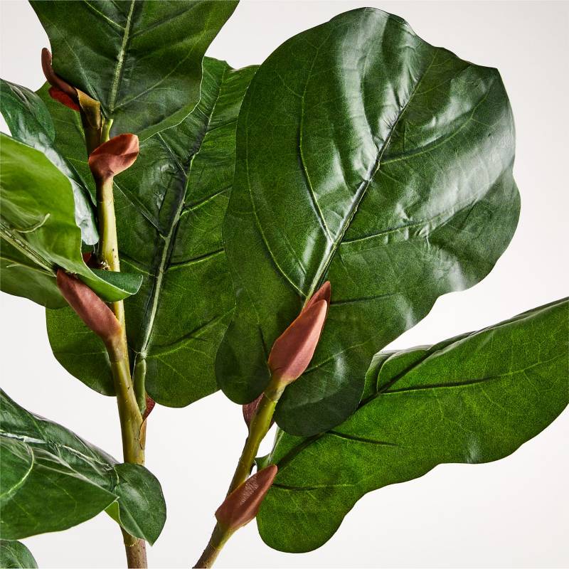 CRATE & BARREL - Rama de Ficus Lyrata Artificial