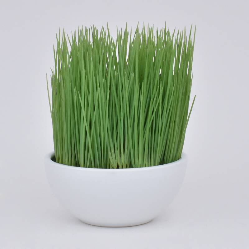 MICA - Planta Grass Pot 18 cm