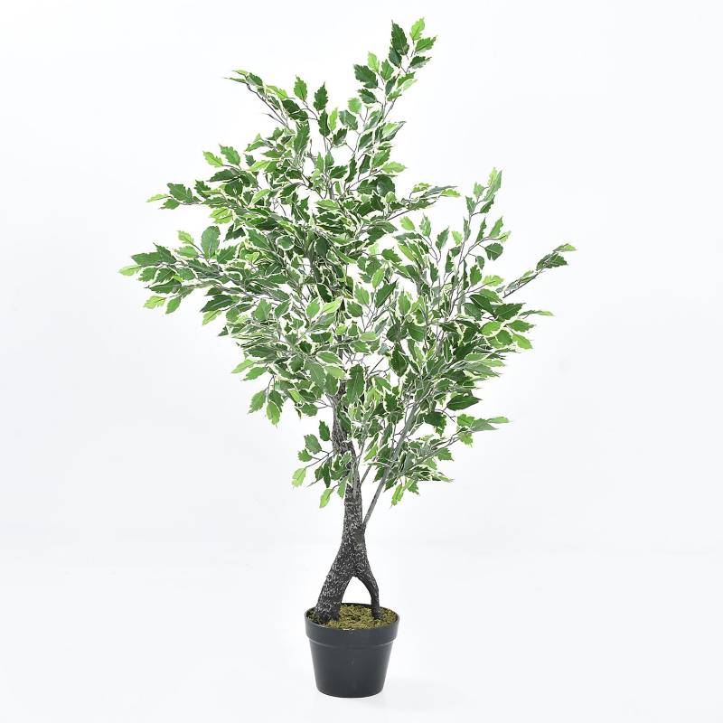 MICA - Planta Mini Ficus Pot 120 cm