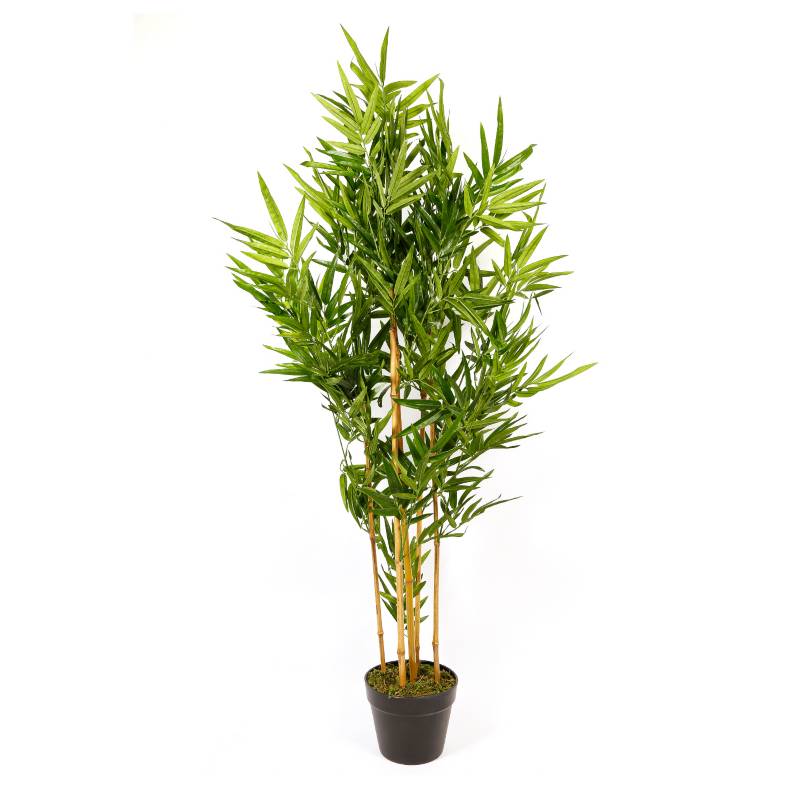 MICA - Planta Bamboo Pot 110 cm