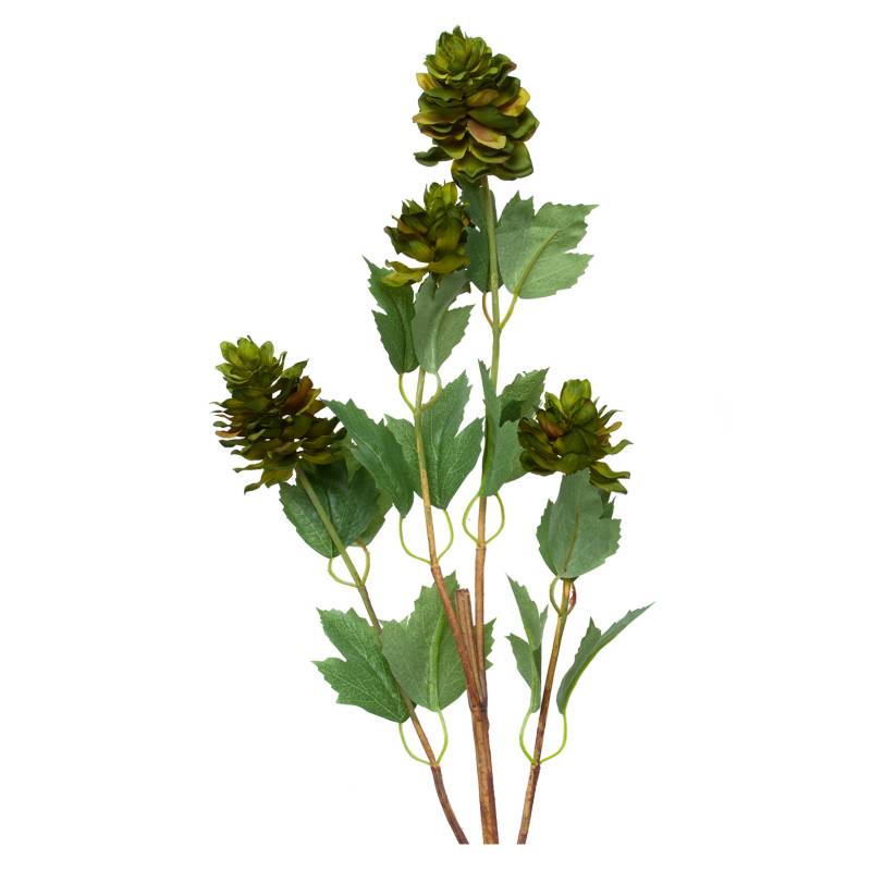 MICA - Planta Lupulus 83 cm