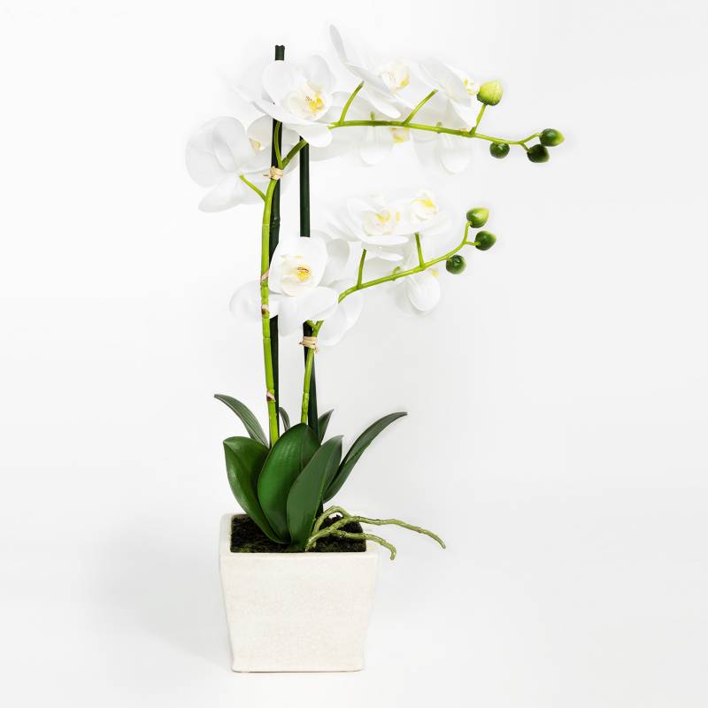 MICA - Orquídea Blanca Cuadrada 56x10cm