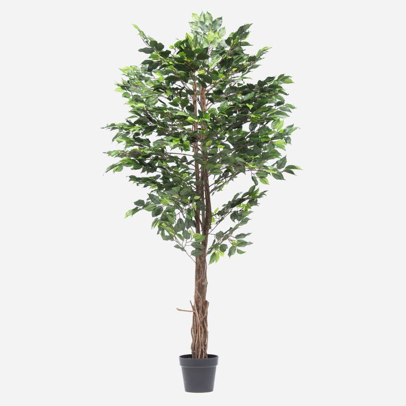 MICA - Planta Artificial Ficus con Maceta 170x20cm