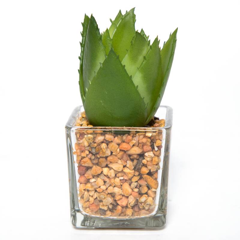 MICA - Cactus de Vidrio 10x5cm
