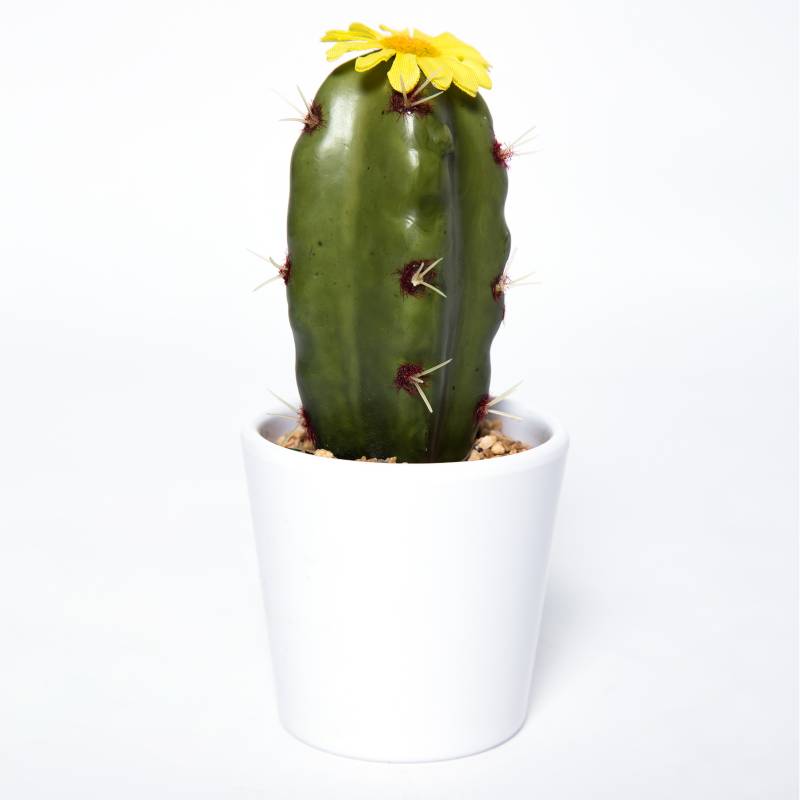 MICA - Planta Cactus 16 cm