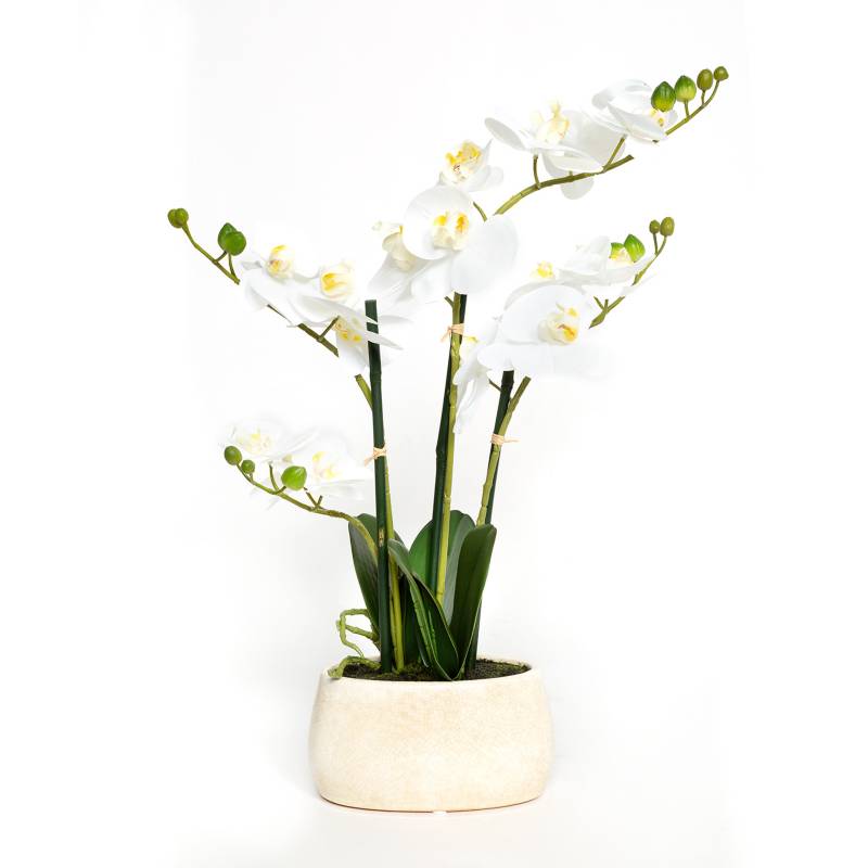 MICA - Orquídea Blanca 56x18cm