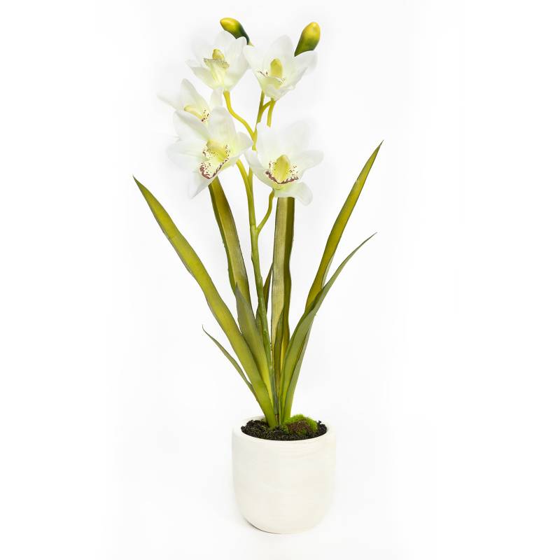 MICA - Orquídea Blanca 56x11cm