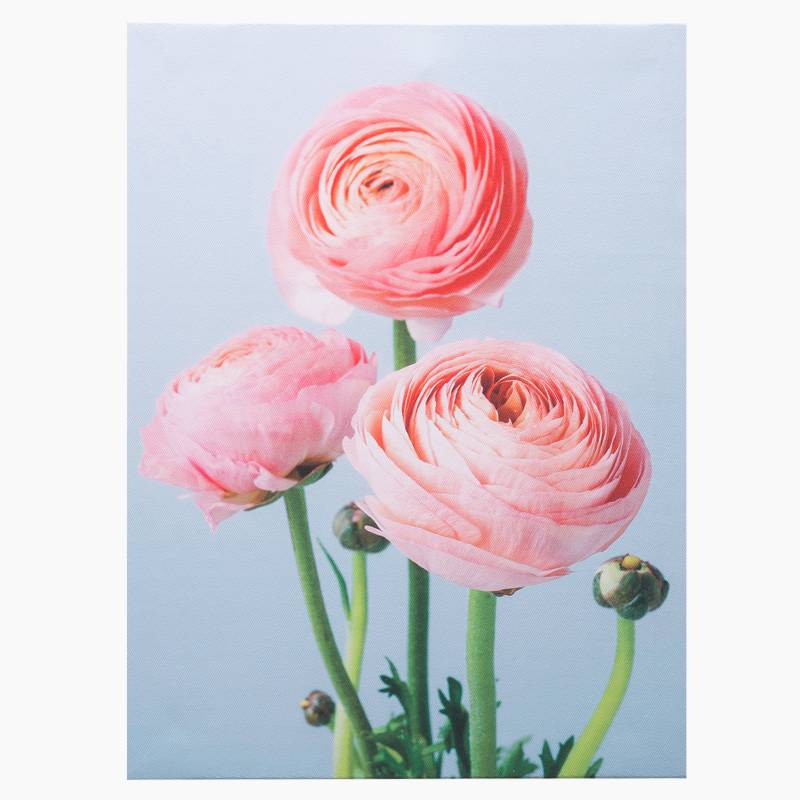 MICA - Canvas Rosas 40 x 30 cm