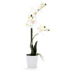MICA - Orquídea 51 cm