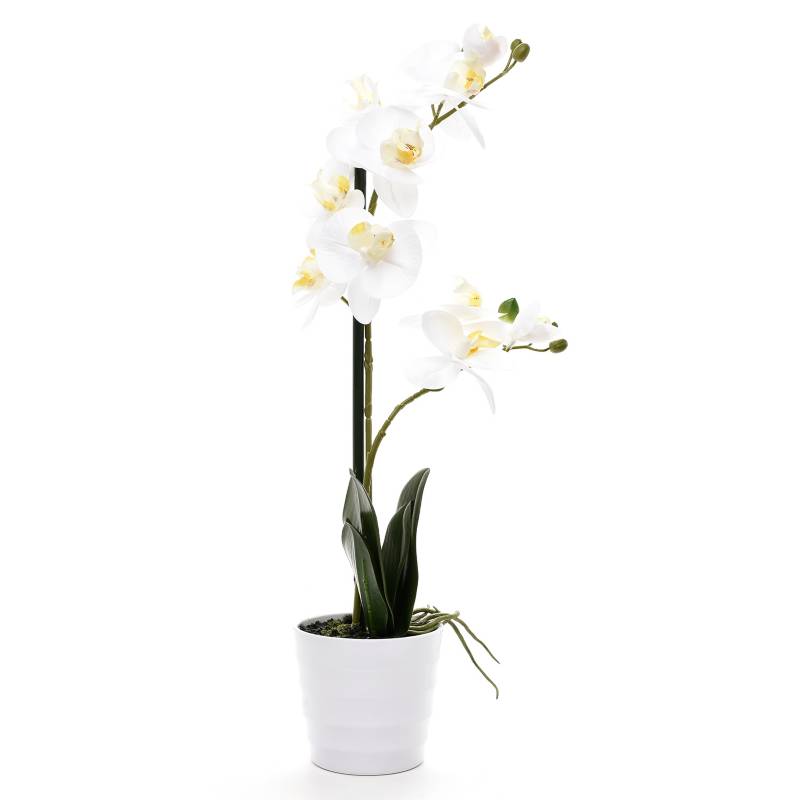 MICA - Orquídea Blanca 51x11cm