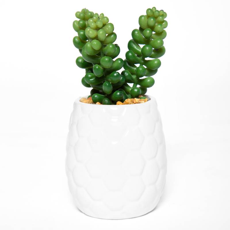 MICA - Planta Cactus 13 cm