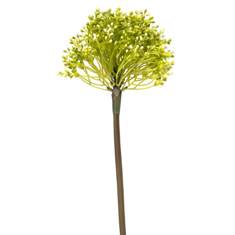 MICA - Allium Rosada 55cm Mica