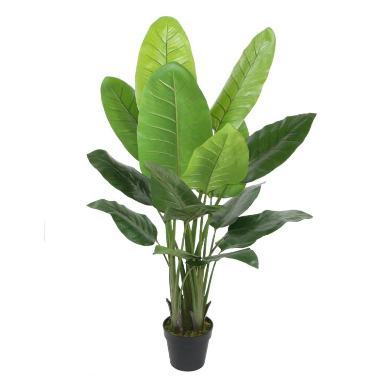 MICA - Planta Strelitzia 135x21cm