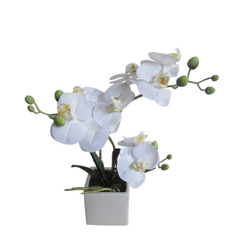 Orquídea Blanca 33cm MICA 