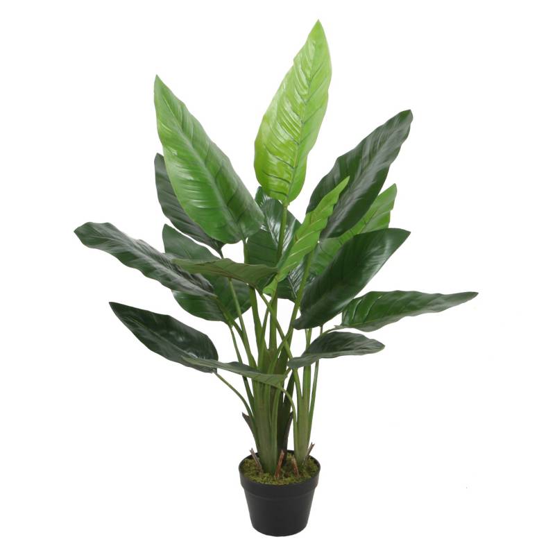 MICA - Planta Strelitzia 110cm