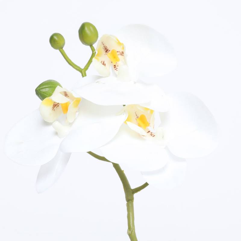 Orquidea Blanca 33Cm MICA | falabella.com