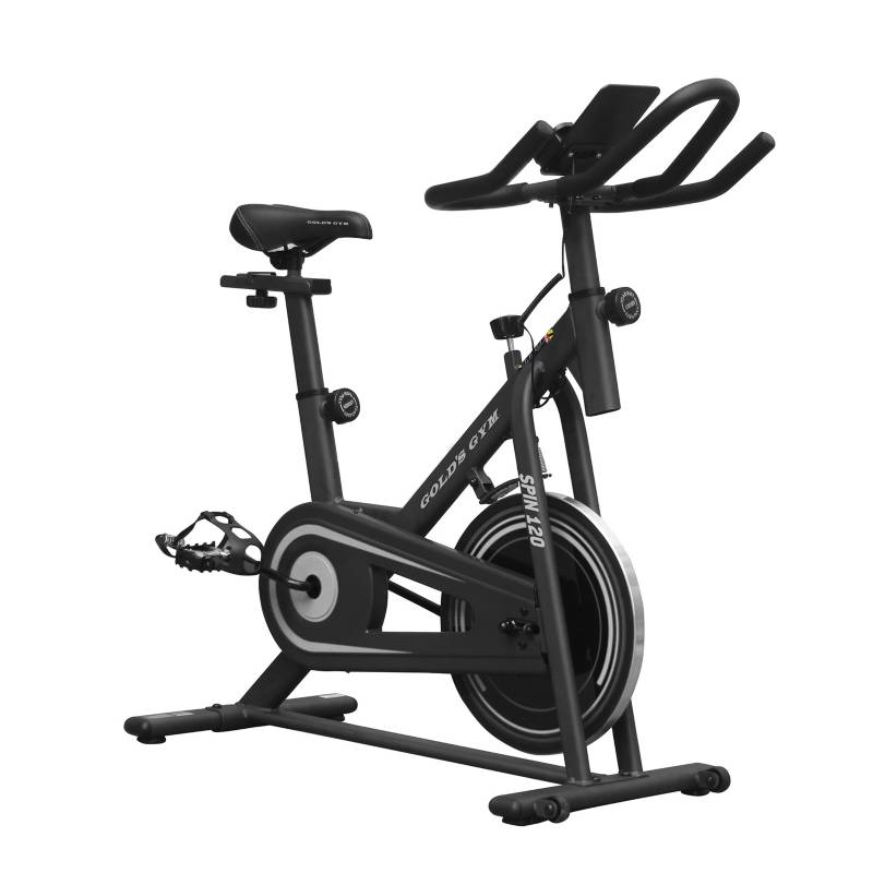 Golds Gym - Bicicleta de Spinning 120