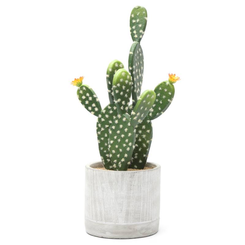 MICA - Cactus Con Maceta 12X37 cm