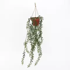 MICA - Planta con Maceta Colgante 8x50cm