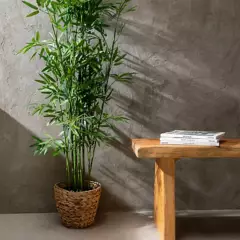 MICA - Planta Bamboo 152x15cm