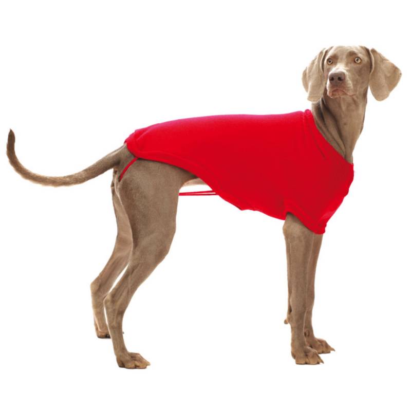 Ripley - ROPA PARA PERROS POLERA AFELPADA PAPO WEAR ROJO TALLA XL